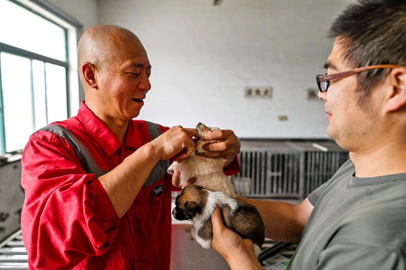 راهب يأوي بـ8 آلاف كلب في مدينة الـ25 مليون نسمة