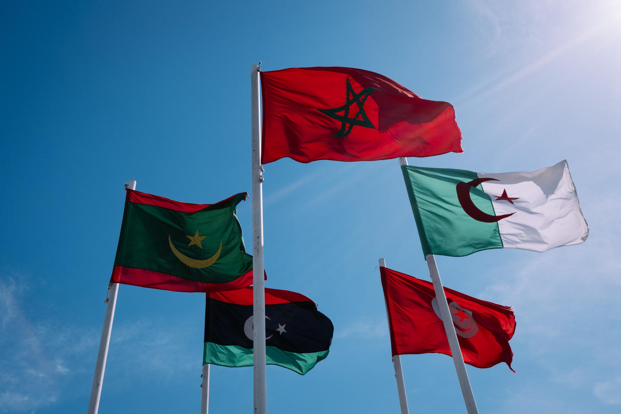 بلوان: الخطاب حمل رسائل مبطنة للجزائر وأكد مفاوضات المغرب السرية مع إسبانيا
