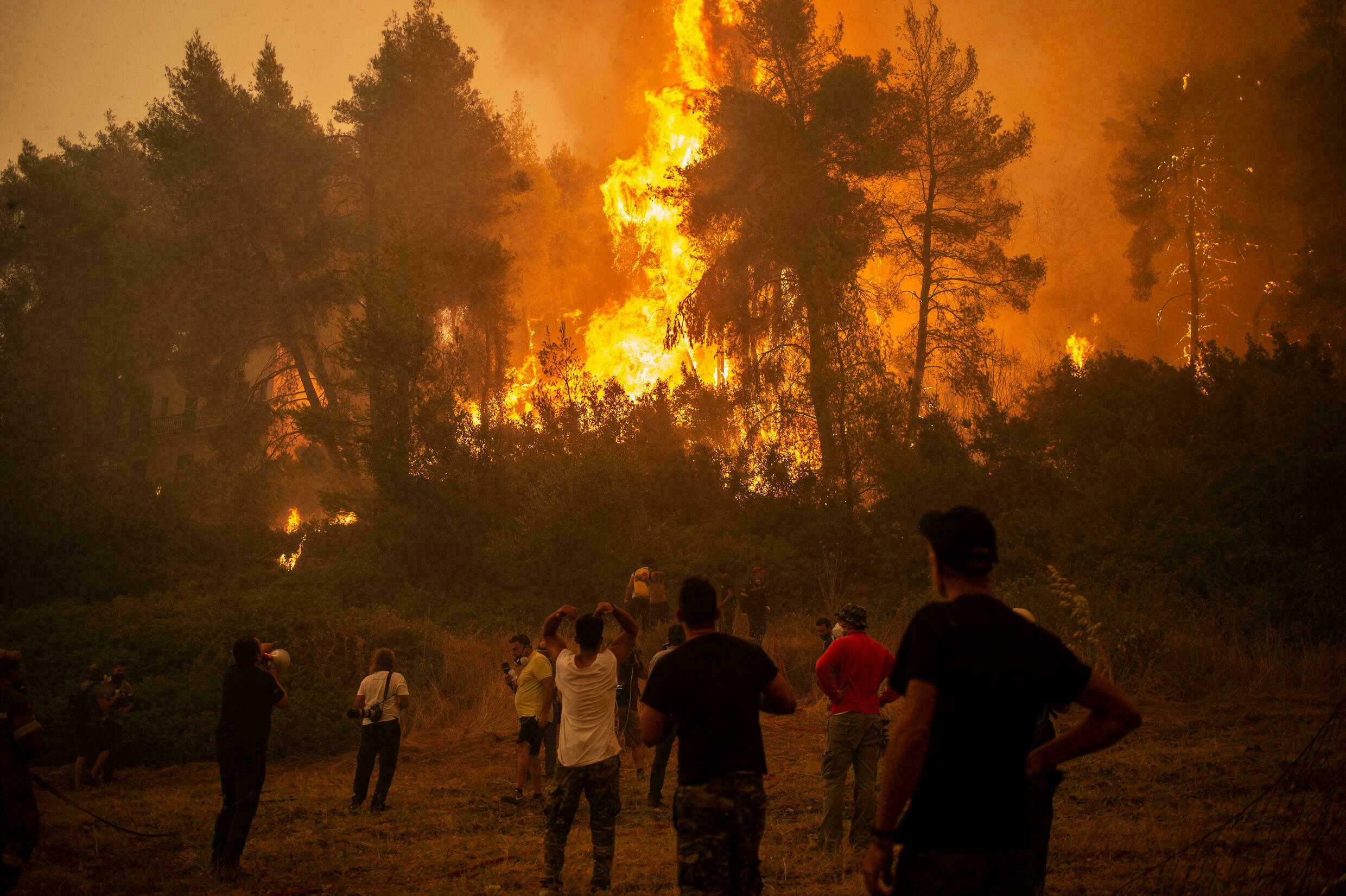 حرائق الغابات تودي بحياة 37 جزائريا