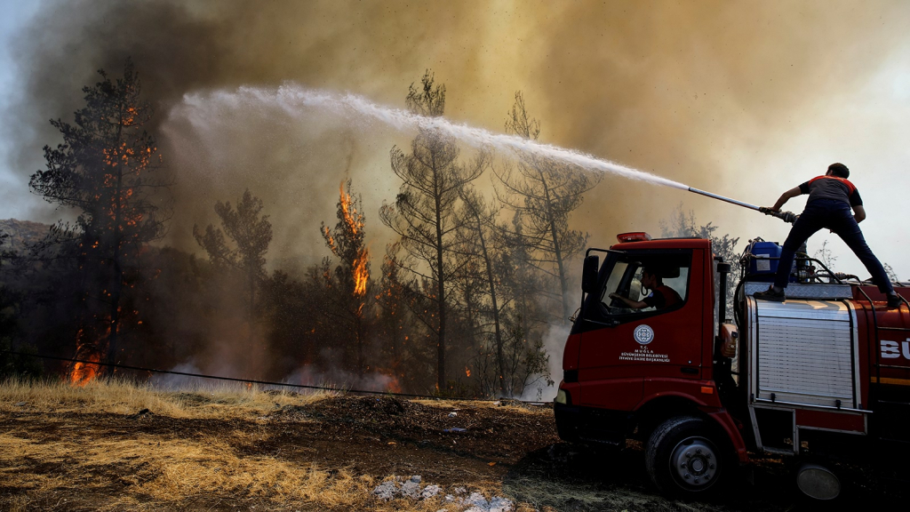 بعد 16 يوما.. تركيا تسيطر على حرائق الغابات