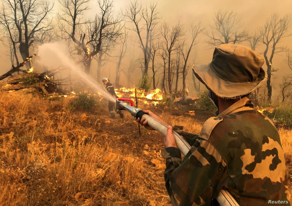 ارتفاع حصيلة ضحايا حرائق الغابات بالجزائر والمعاناة مستمرة في 13 ولاية