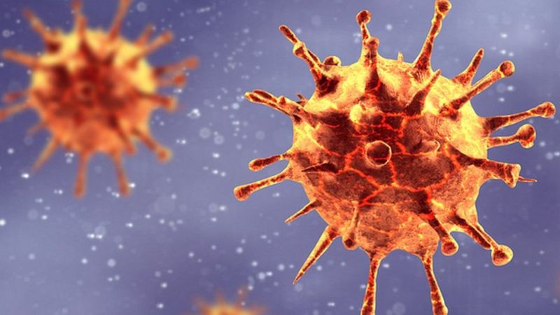 عالمة بريطانية: الفيروسات المستقبلية قد تكون أشد فتكا من كورونا