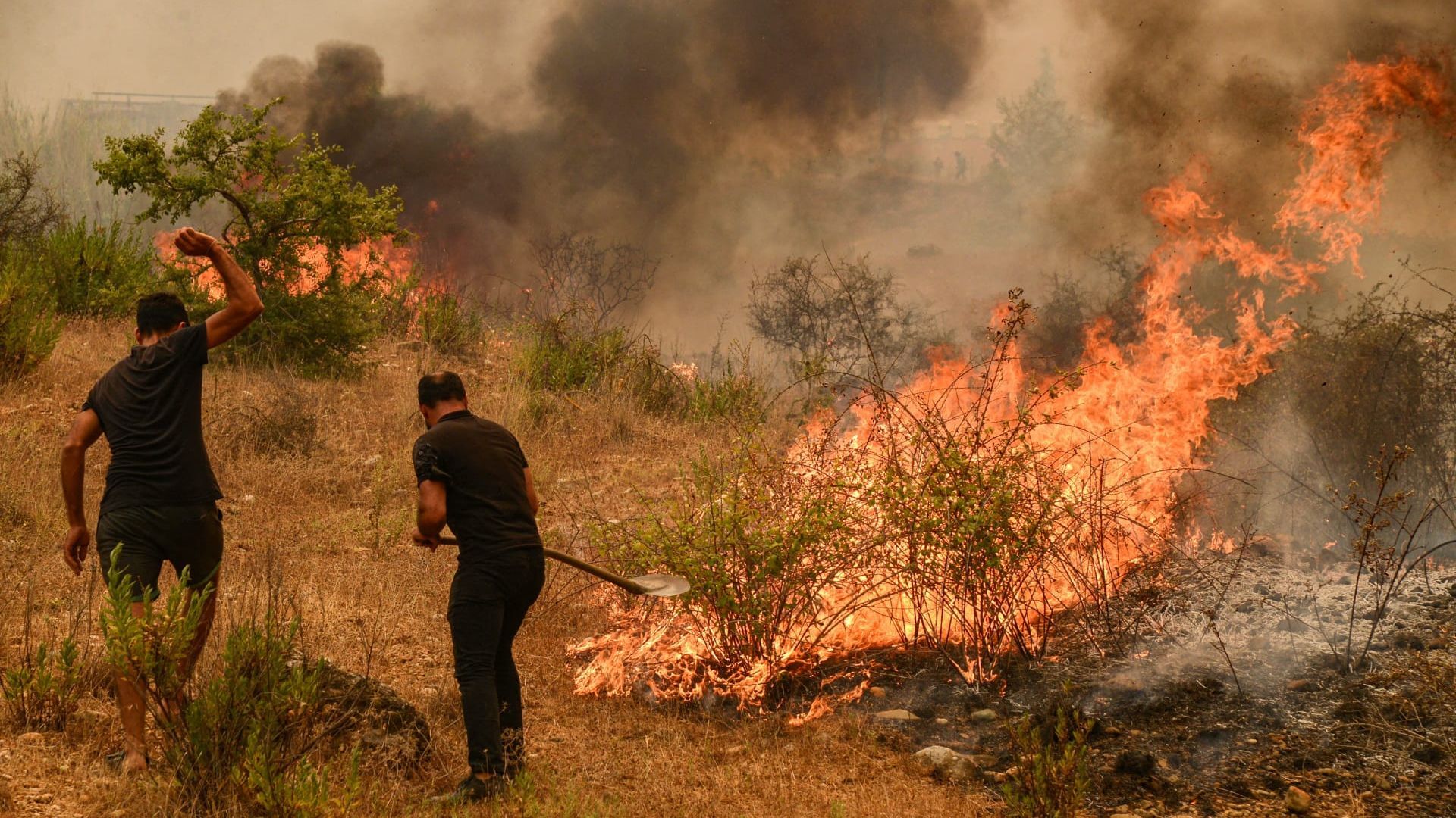 الجزائر تسيطر على 74 حريقا وتحذيرات بسبب استمرار موجة الحر