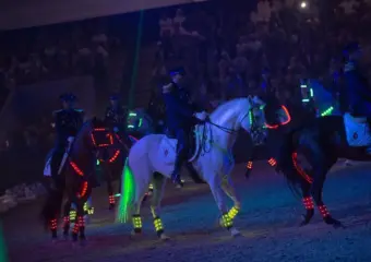 مذكرة تفاهم لرقمنة قطاع الخيول