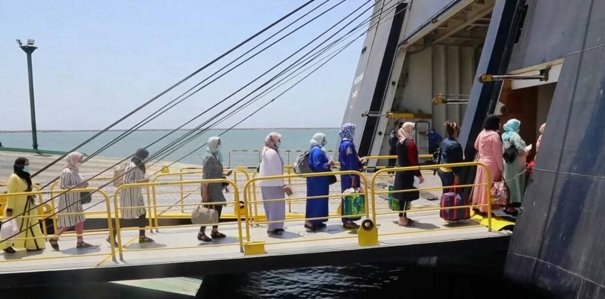 3.305 عاملة مغربية تتصدر العمالة الموسمية في حقول الفراولة بإسبانيا