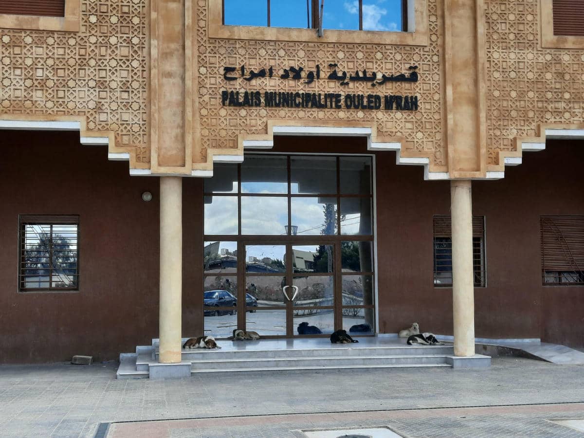 سطات.. دراسة مشروعي تصميم تهيئة جماعتي أولاد امراح واولاد عامر