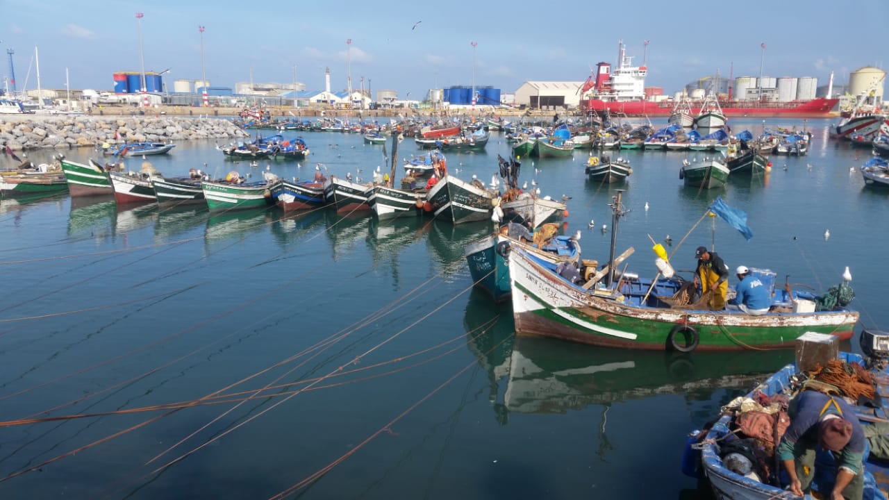 ميناء المحمدية يدخل لائحة الموانئ المحافظة على البيئة