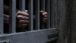 الاستئنافية تؤيد الحكم على بيدوفيل الجديدة بـ20 سنة سجنا