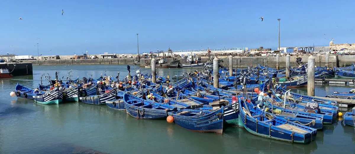ارتفاع مفرغات منتوجات الصيد البحري بـ6% بميناء الصويرة