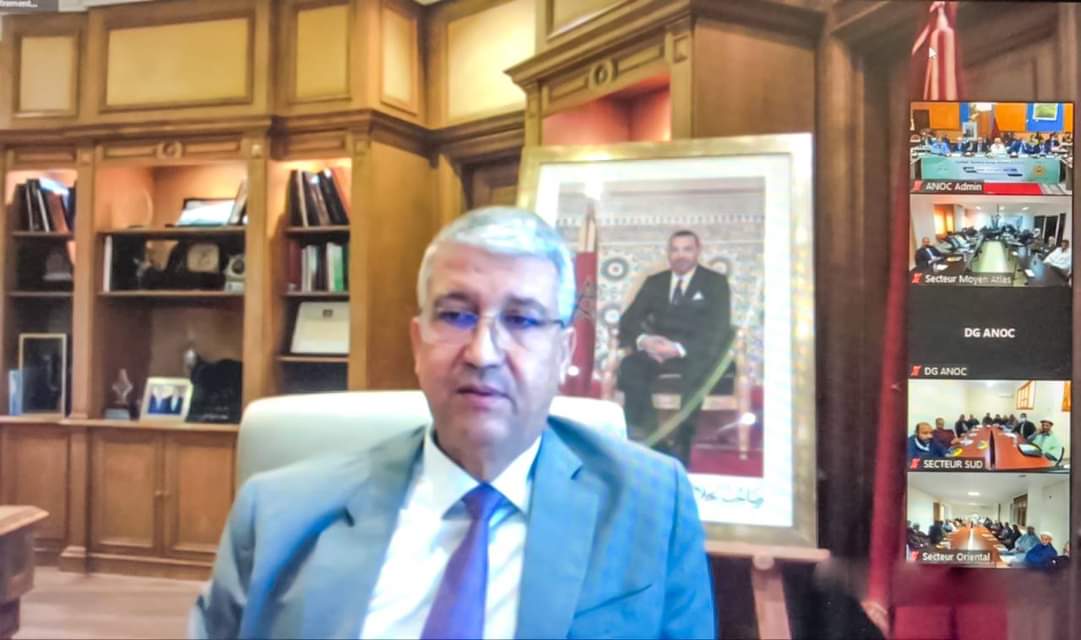 صديقي يبرز أهمية قطاع المواشي بالمغرب