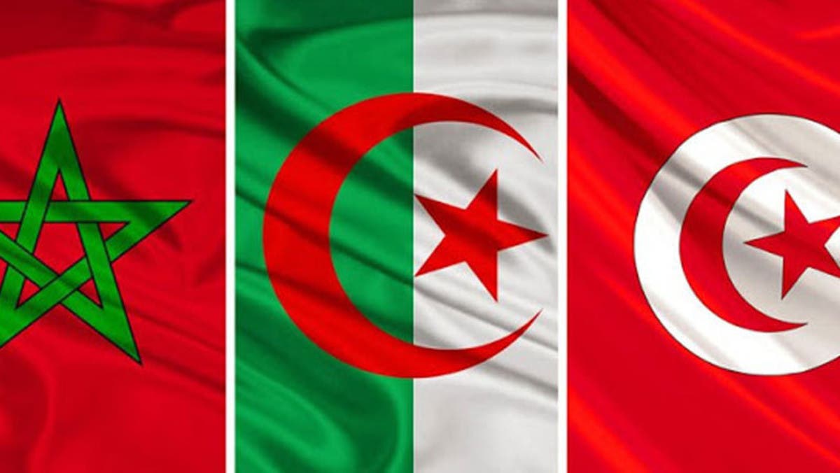بلوان لـ “مدار21”: الجزائر تهدّد تونس وتبتزها لاتخاذ مواقف ضد المغرب