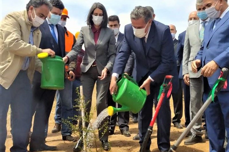المغرب يعتزم غرس 10 آلاف شجرة مُثمرة بحلول 2022