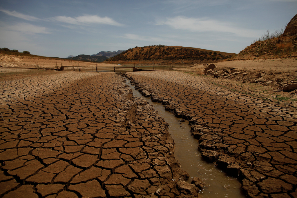 المغرب وتونس والجزائر ضمن أكثر البلدان عرضة للجفاف في العالم