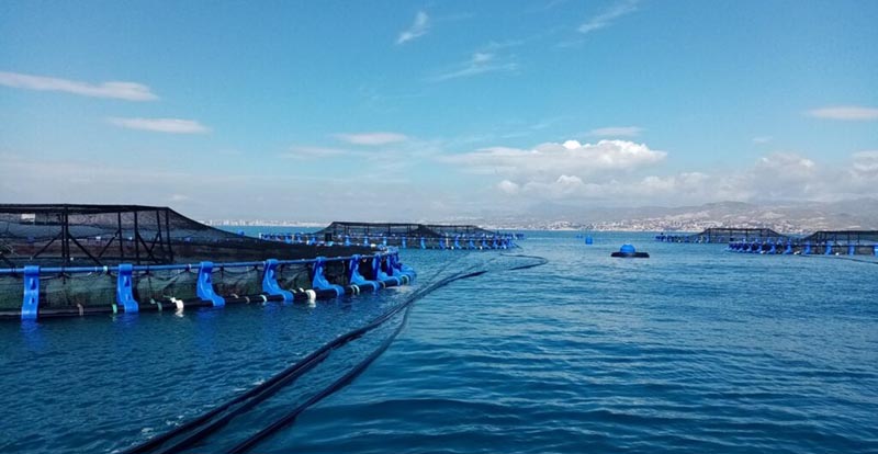 مزرعة أسماك مغربية قرب مليلية المحتلة تثير أزمة في إسبانيا