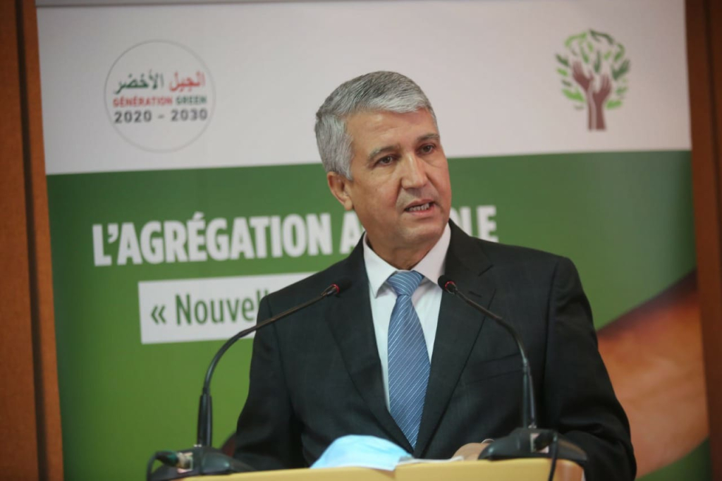 وزير الفلاحة: استراتيجية “الجيل الأخضر” تعزز مركزية الفلاحة في الاقتصاد المغربي