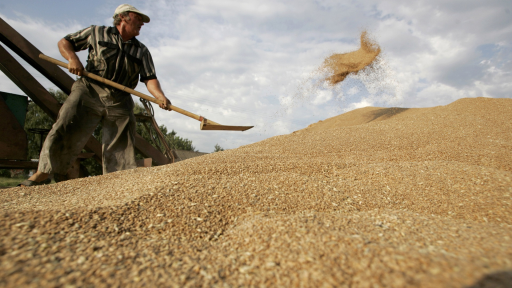 خبير زراعي لمدار21: أزمة القمح ستطول والمغرب في وضعية صعبة