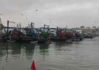 انخفاض مفرغات الصيد بميناء طانطان بـ40% في 2024