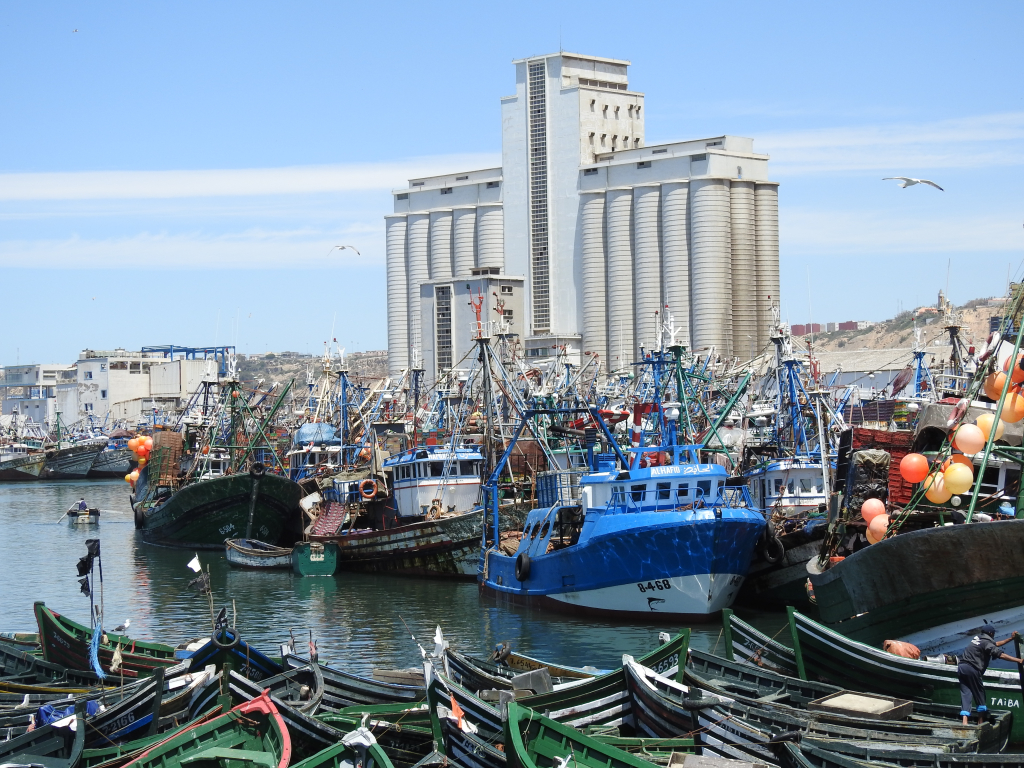 ارتفاع مفرغات الصيد البحري بنسبة 2 في المئة