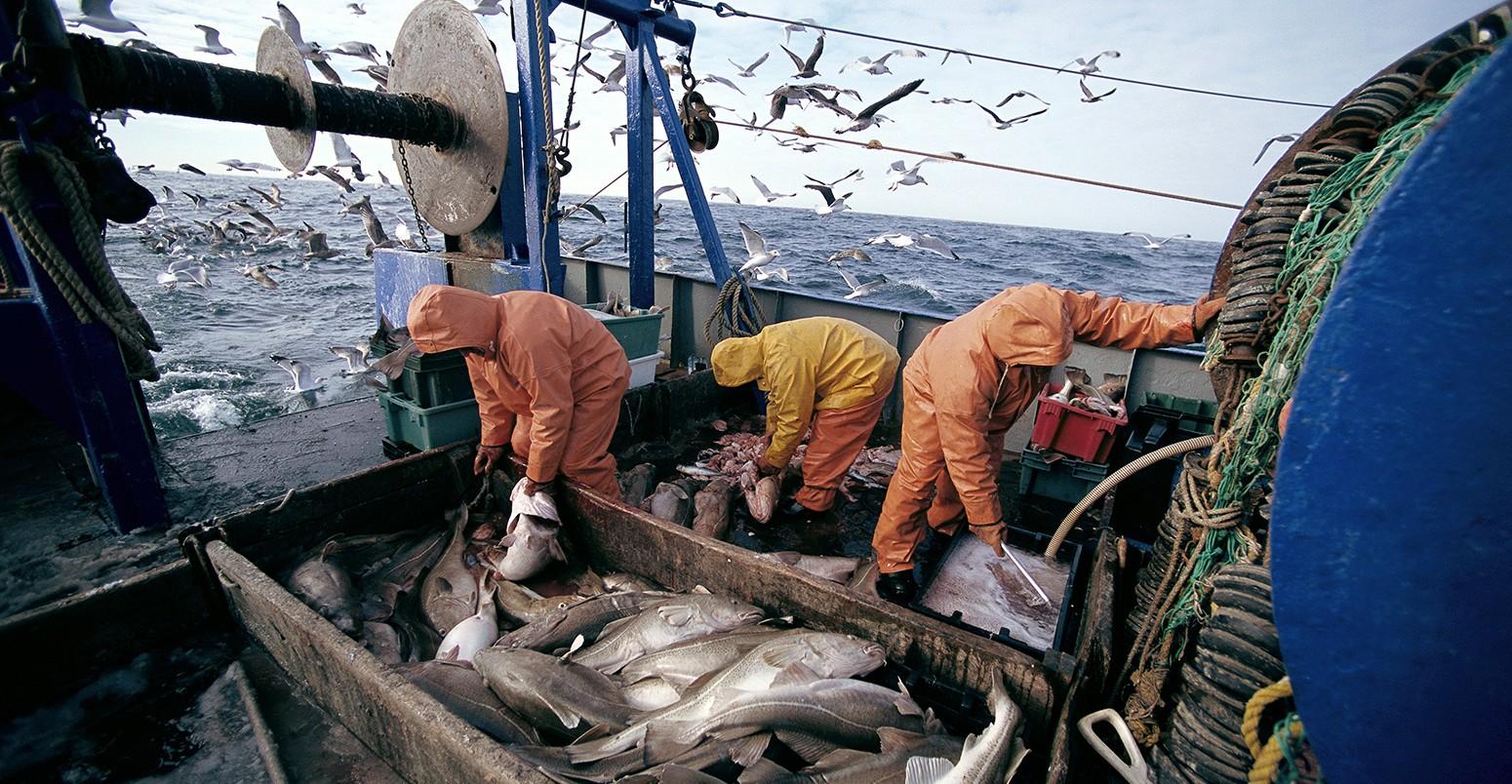 المغرب والاتحاد الأوروبي يقرران سريان اتفاقية الصيد البحري