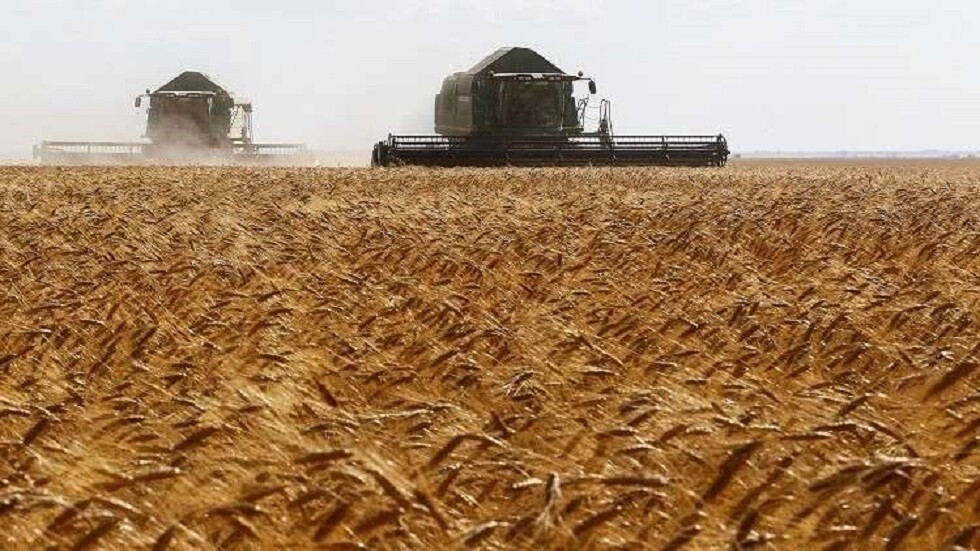 بريطانيا تحذر من مجاعة بسبب أزمة شحن الحبوب الأوكرانية