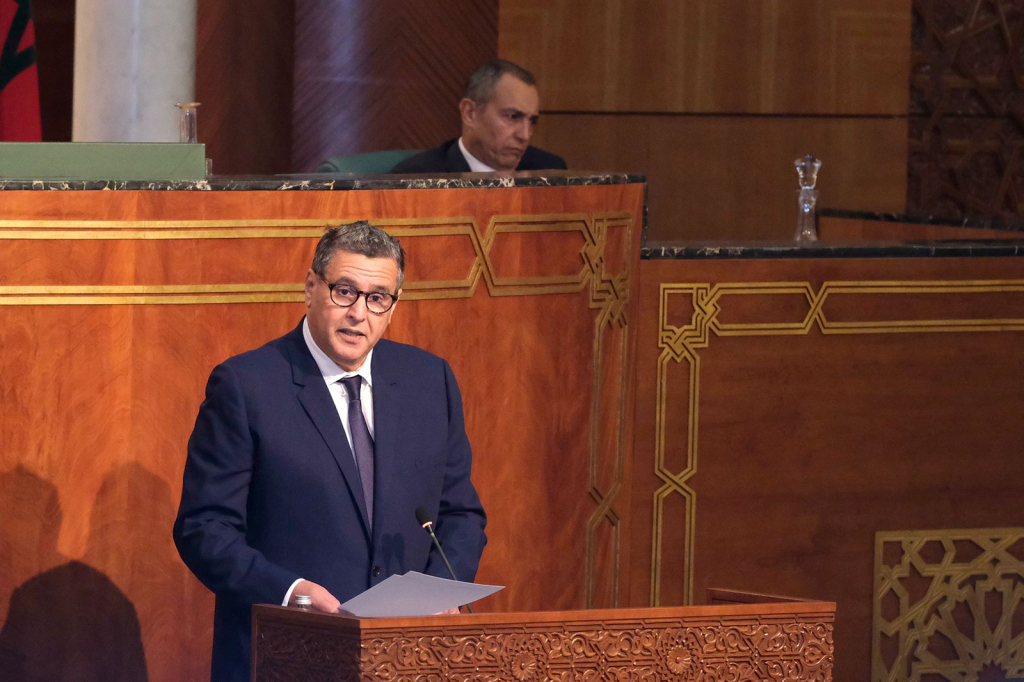 أخنوش يدعو للنهوض بالاستثمار الخاص لتحقيق الإقلاع وتطوير معدلات النمو