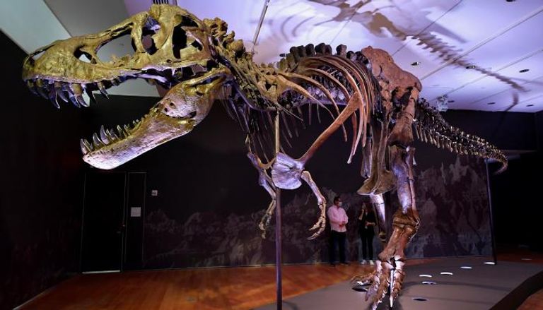 بيع هيكل ديناصور ب12 مليون دولار