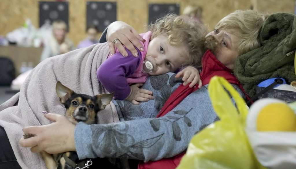 14.5 مليون أوكراني يغادرون بلادهم بسبب الحرب