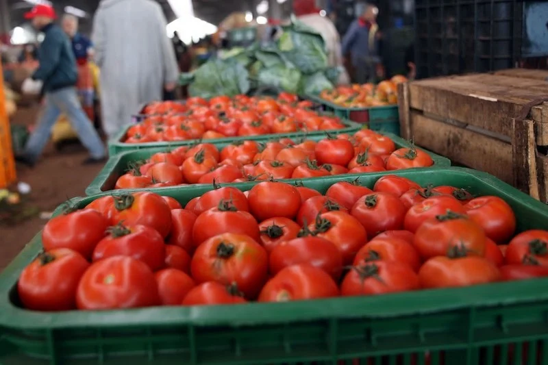 بعد التدخل الحكومي.. أسعار الطماطم تنخفض إلى 4 دراهم بسوق الجملة إنزكان 