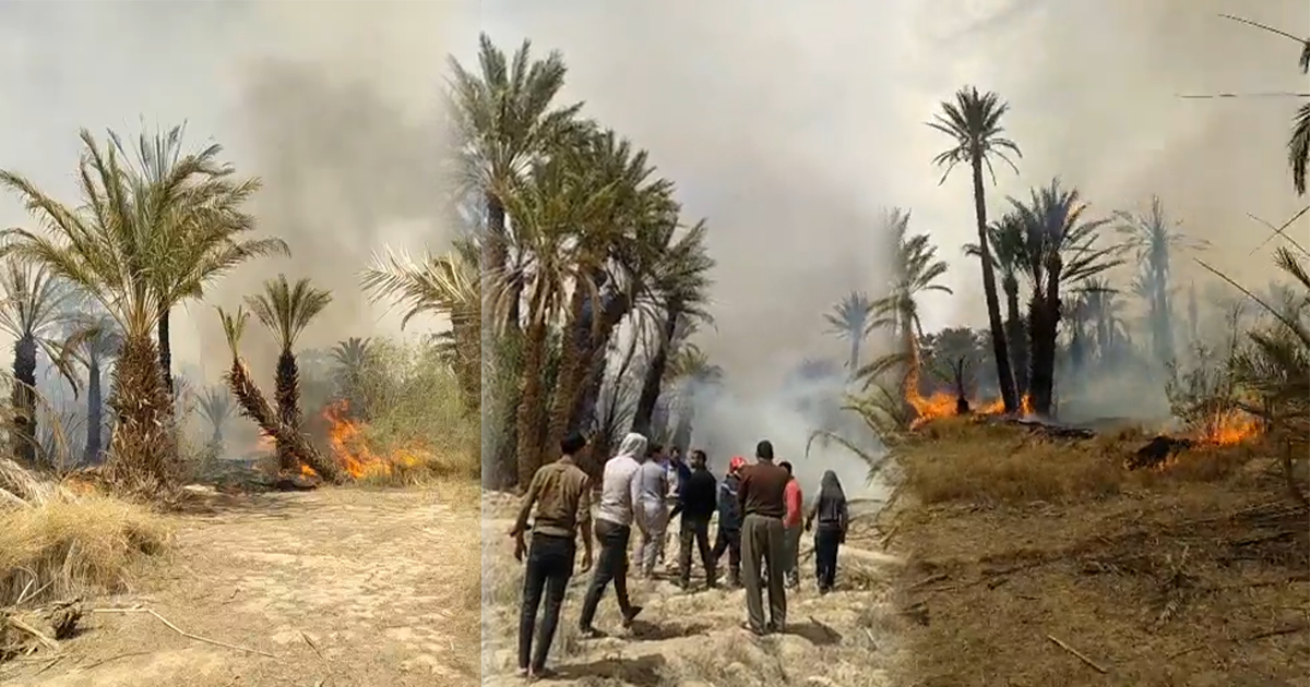 عاجل.. حرائق جديدة بمنطقة بأرفود