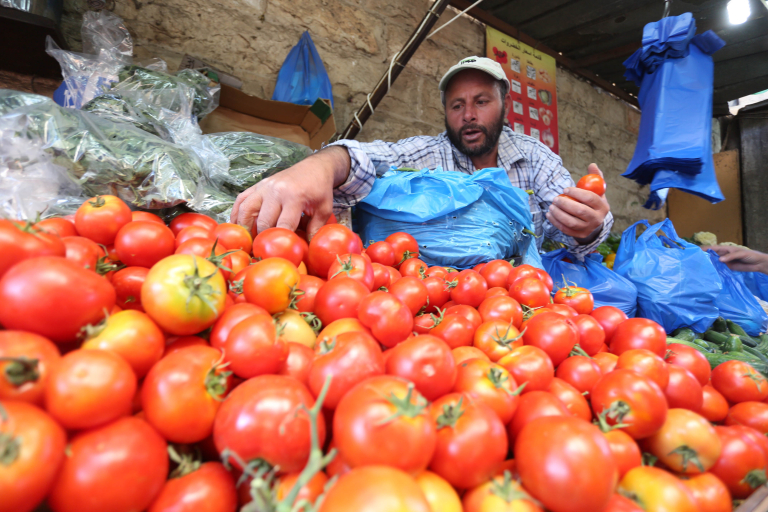 قلة الطلب تخفض أسعار الطماطم و”فيروسات” تضر بالانتاج الوطني