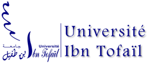 ابن طفيل أحسن جامعات المغرب