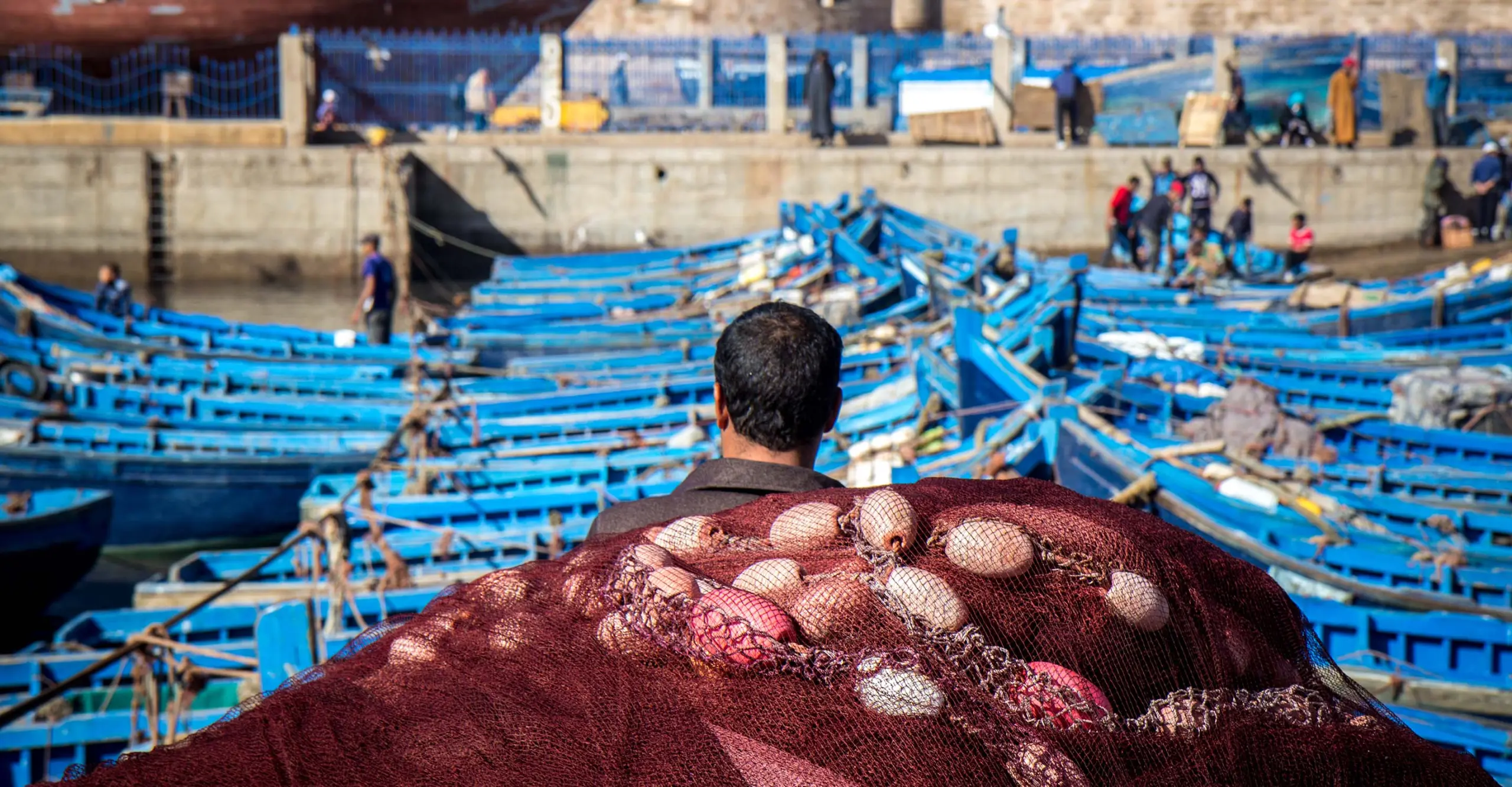 انخفاض مفرغات الصيد بميناء العيون بـ26%