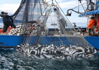 منتدى  يناقش الصناعة السمكية بالمغرب وتحديات التغيرات المناخية