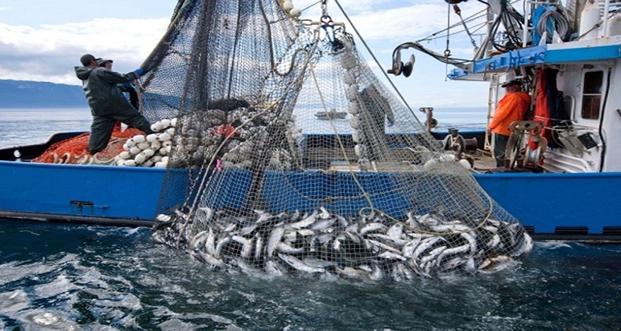 صادرات منتجات الصيد البحري بالمغرب تسجل رقما قياسيا