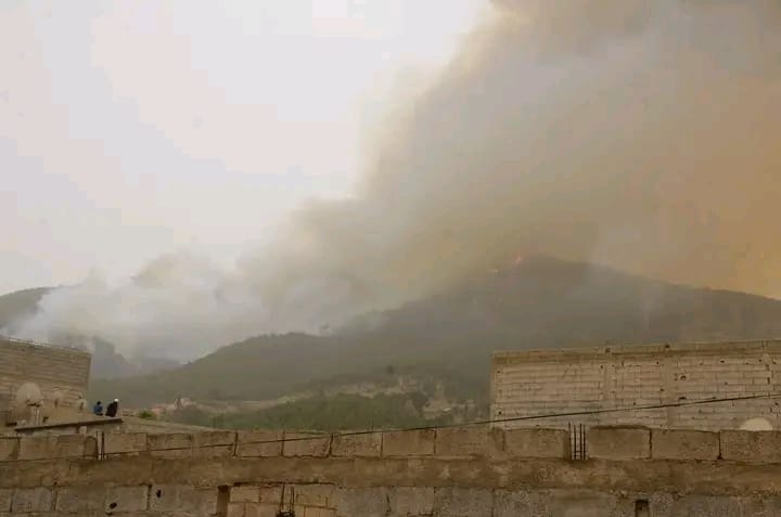 حريق مهول بغابة “تيزي غوران”يستنفر سلطات مراكش لإخماده