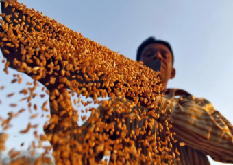 أوكرانيا “خارج منافسة” الكبار في تصدير القمح للمغرب