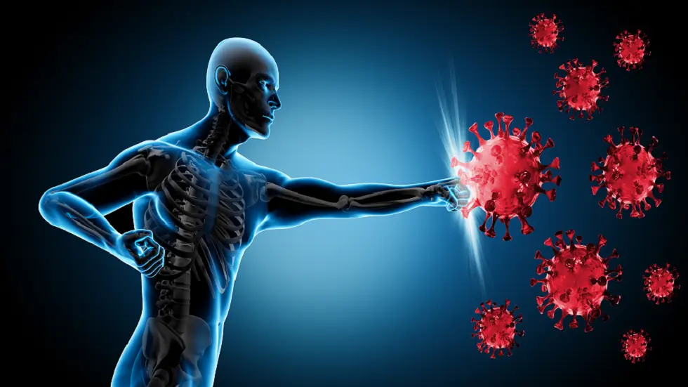 تزامنا وانتشار الأمراض.. هذه أطعمة تعزز مناعتك