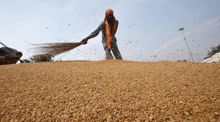 الأسمدة مقابل الحبوب.. هل ينجح المغرب في عقد صفقة رابحة مع الهند؟