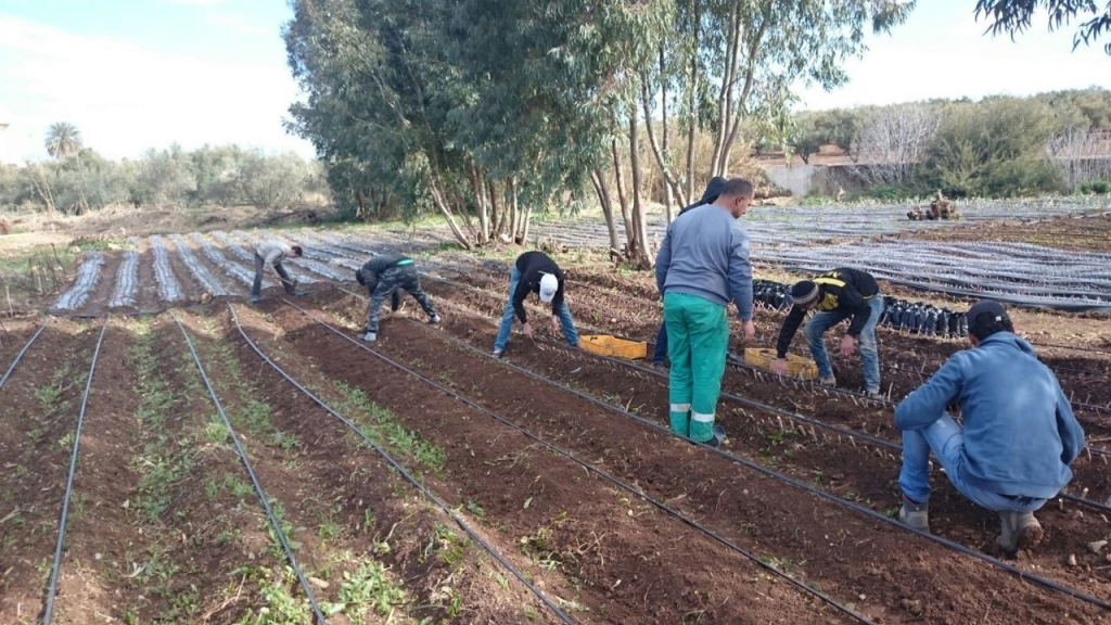 ورشات تكوينية لحاملي أفكار مشاريع فلاحية بالرشيدية