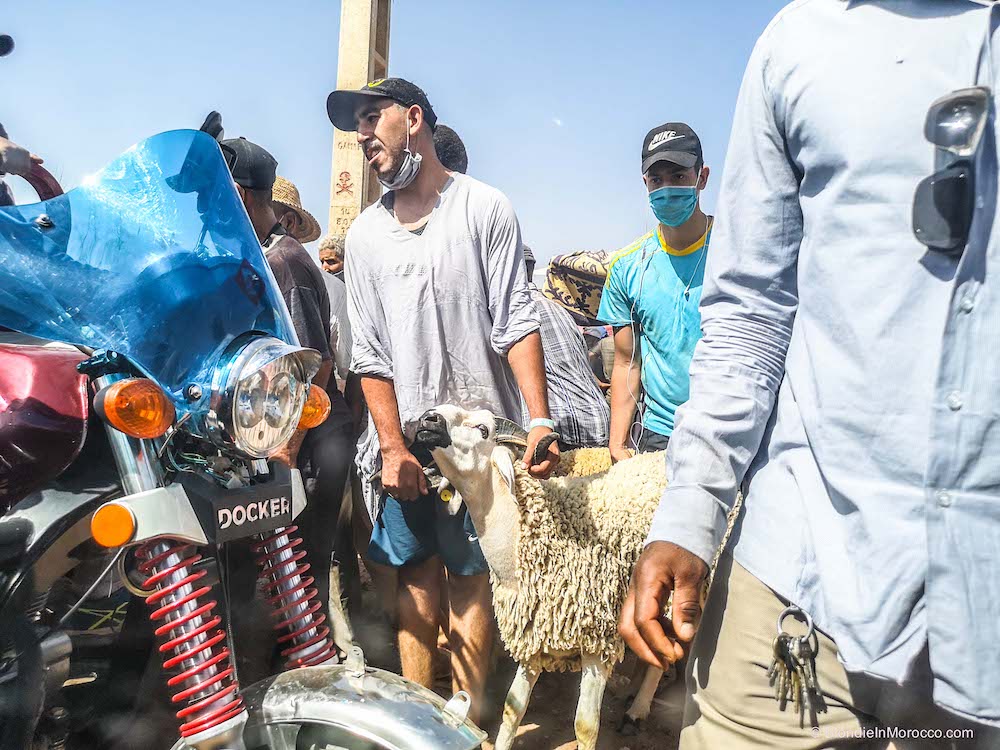 إبراهيمي: لا تشديد للإجراءات في عيد الأضحى وهذا موعد ذروة موجة كورونا