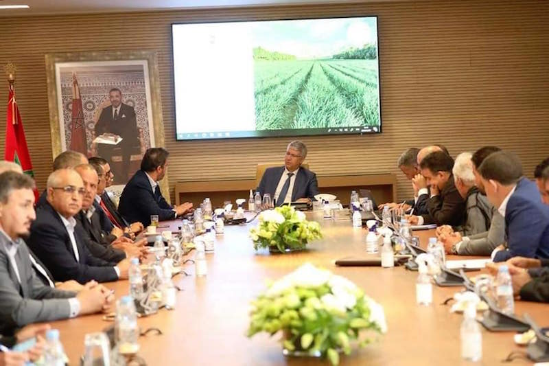 المغرب يطمح لانتاج 10 آلاف طن من الأركان