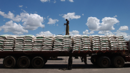 القمح الروسي يصل 25% من واردات المغرب وفرنسا تحافظ على الصدارة