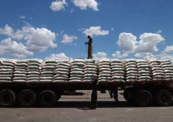 القمح الروسي يصل 25% من واردات المغرب وفرنسا تحافظ على الصدارة