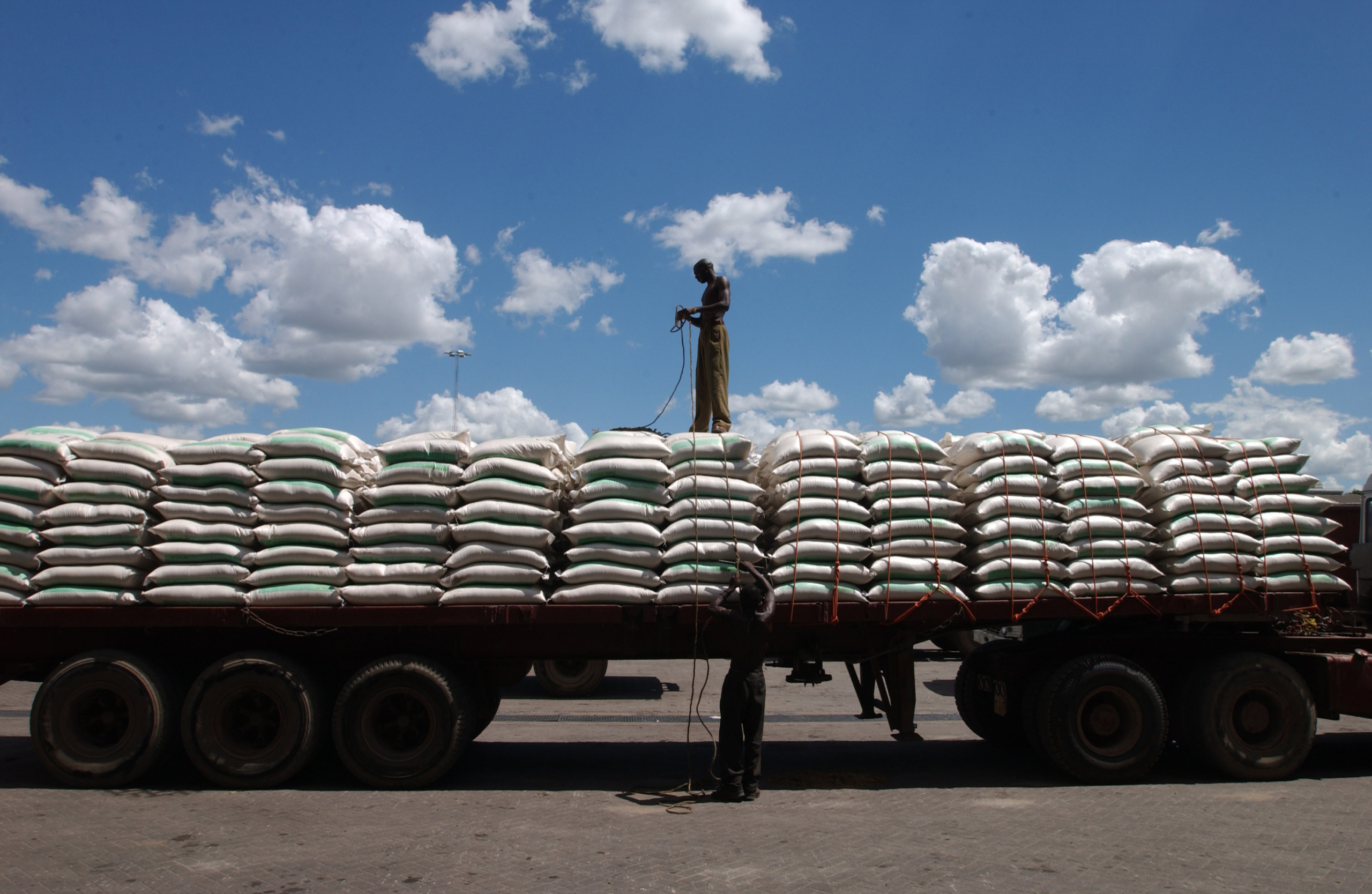 المغرب يستهدف مليوني طن وواردات القمح من روسيا تصل  100 ألف طن
