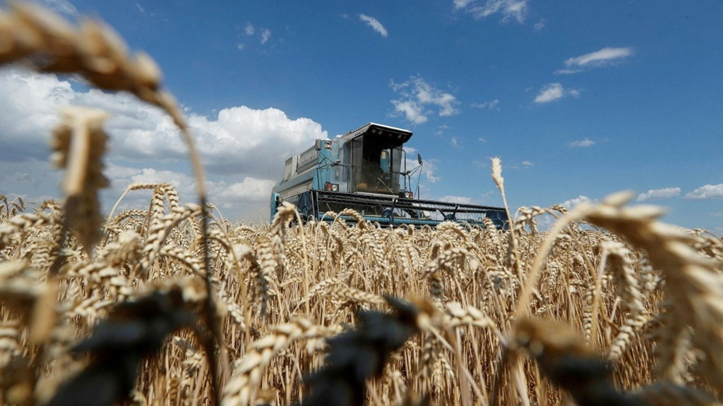 أوكرانيا تعلن استئناف تصدير الحبوب خلال الأسبوع الجاري بموافقة روسيا