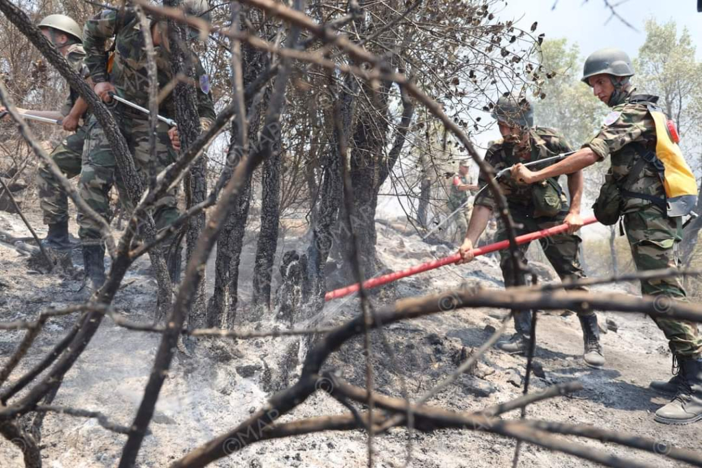مسؤول: الحرائق التهمت 4600 هكتار وطوقنا 50 في المائة منها