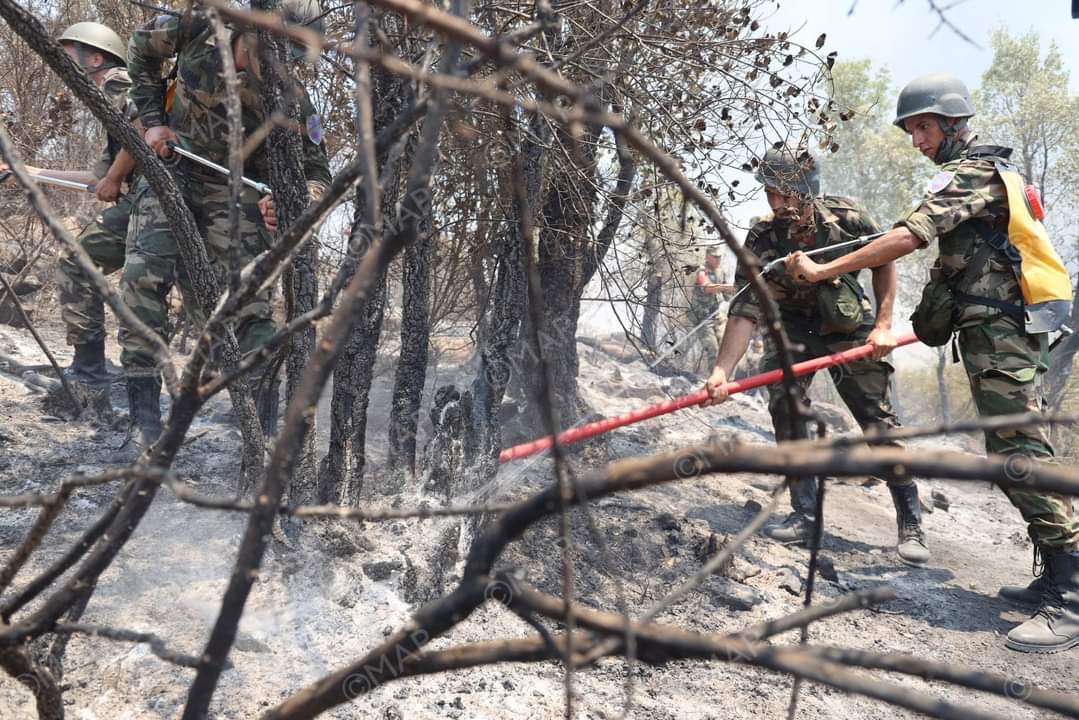 مسؤول: الحرائق التهمت 4600 هكتار وطوقنا 50 في المائة منها