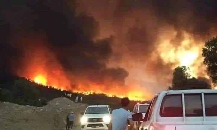 برلماني يطالب بإجراءات استعجالية لاحتواء حرائق تاونات