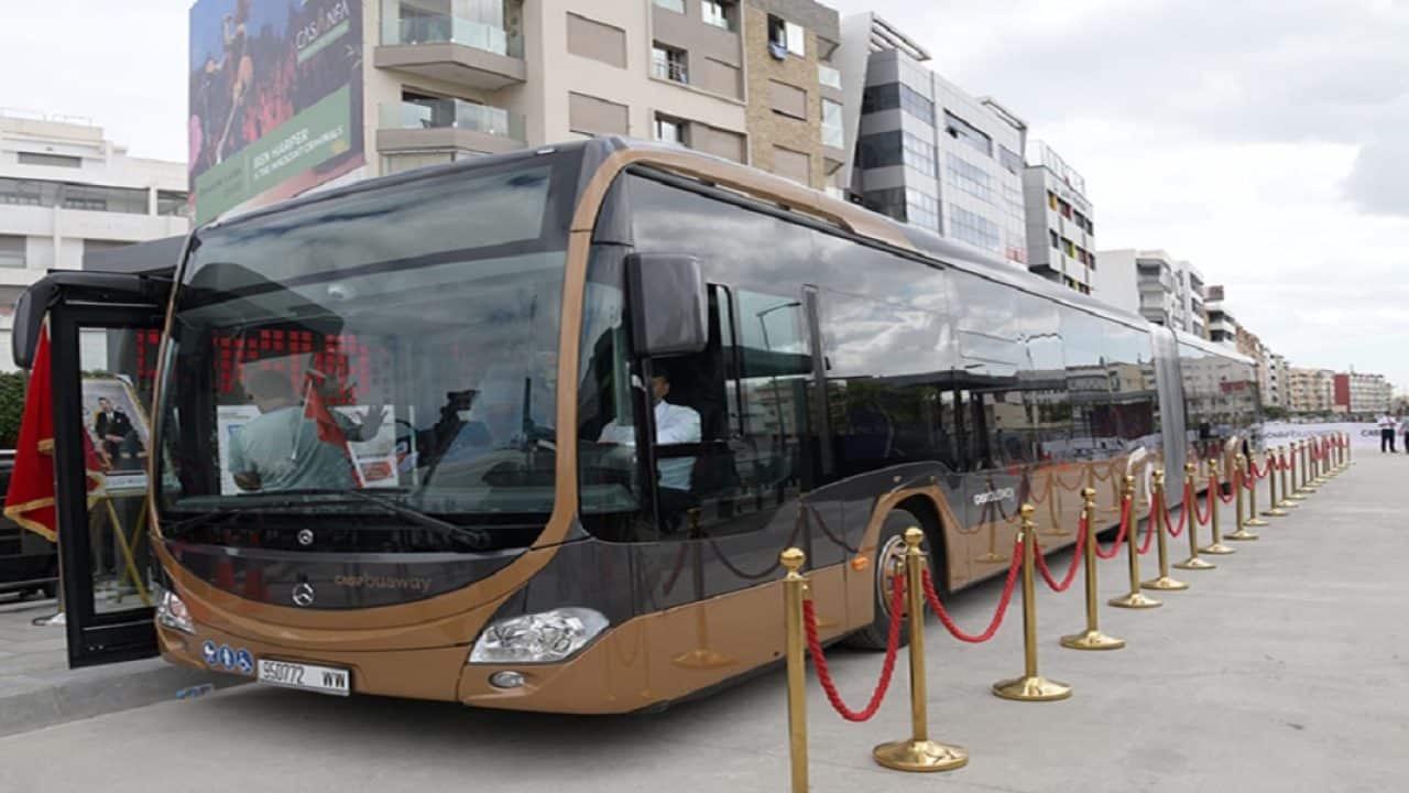 40 حافلة جديدة تؤمن نقل البيضاويين ابتداء 2023