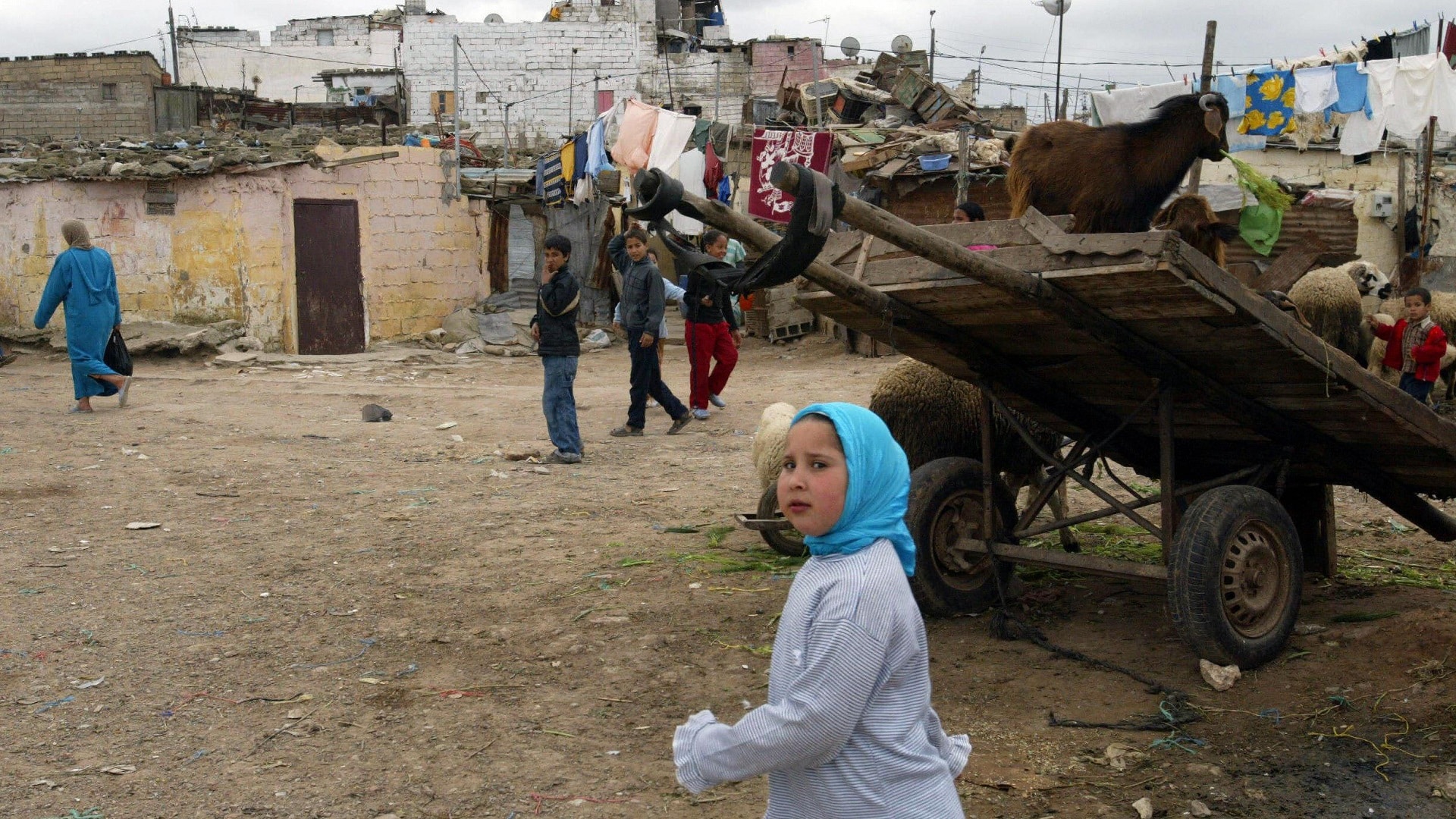 الحليمي: المغرب فقد 7 سنوات من التقدم في القضاء على الفقر والهشاشة